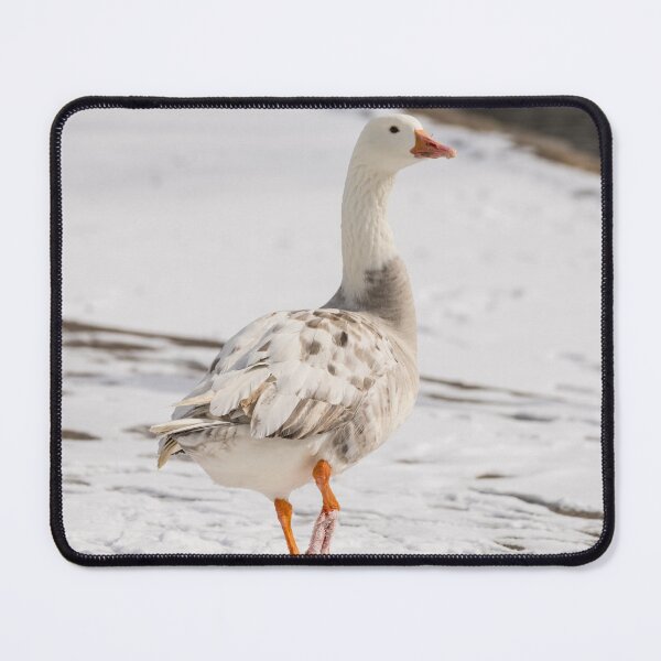 Item preview, Snow Goose Strut designed and sold by mljdwhite.
