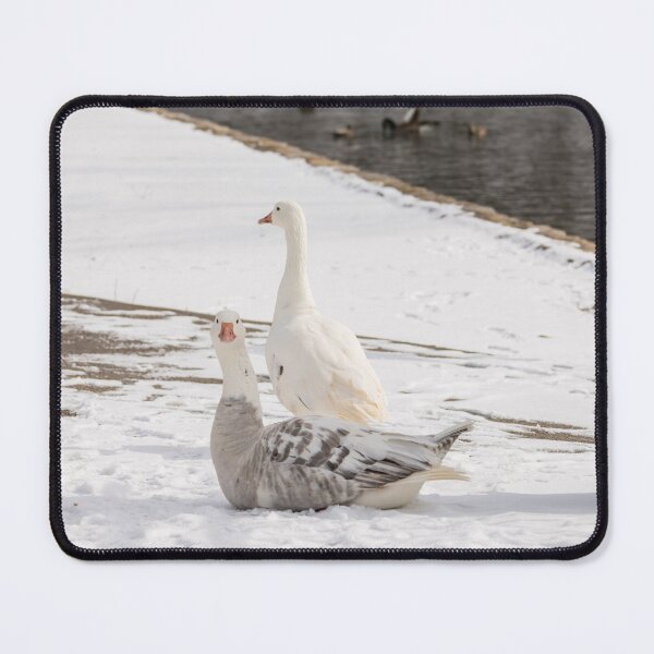 Item preview, Whats Up Goose designed and sold by mljdwhite.