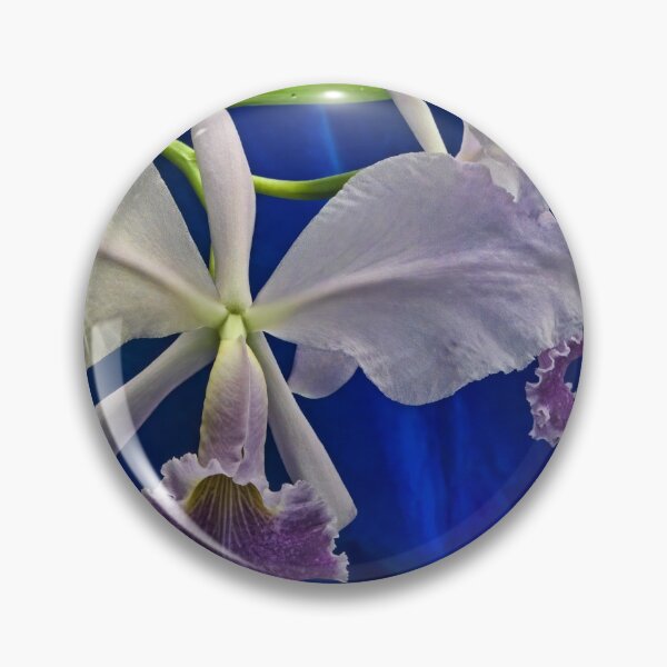 Aperçu de l'œuvre Belle Cattleya créée et vendue par alanathrower.