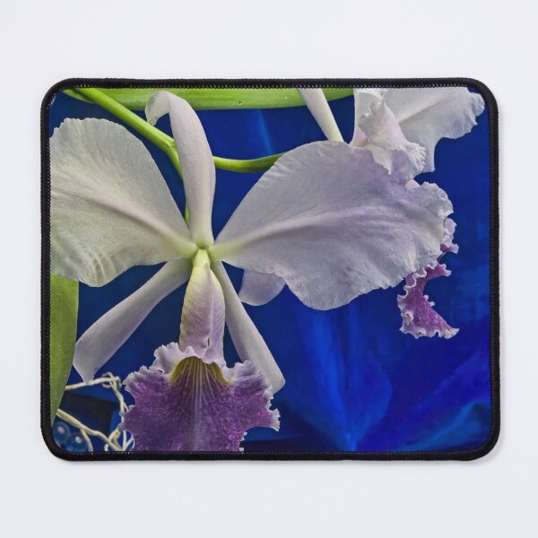 Item preview, Lovely Cattleya designed and sold by alanathrower.