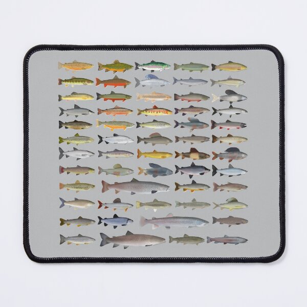 Item preview, Trout, Char, Grayling, Hucho and Whitefish Group designed and sold by fishfolkart.