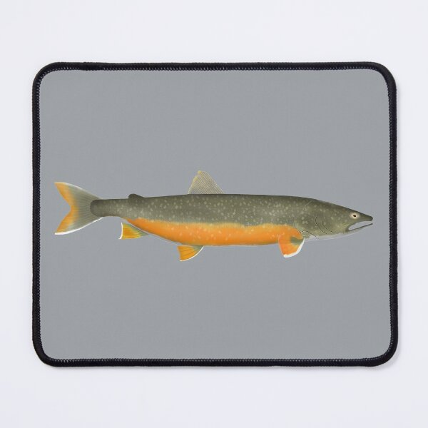 Item preview, Lake Trout designed and sold by fishfolkart.