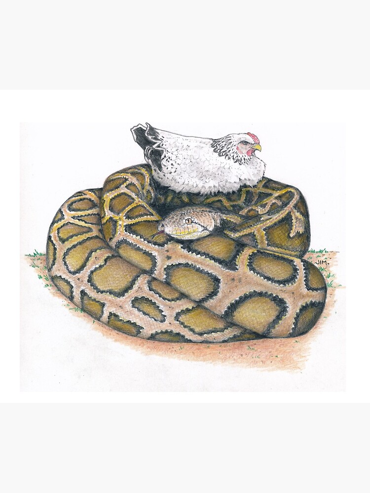 Thumbnail 5 of 5, Mouse Pad, chicken on a python designed and sold by JimsBirds.