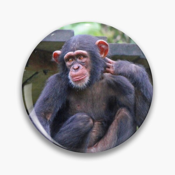 Item preview, Chimpanzee designed and sold by LeanneAllen.