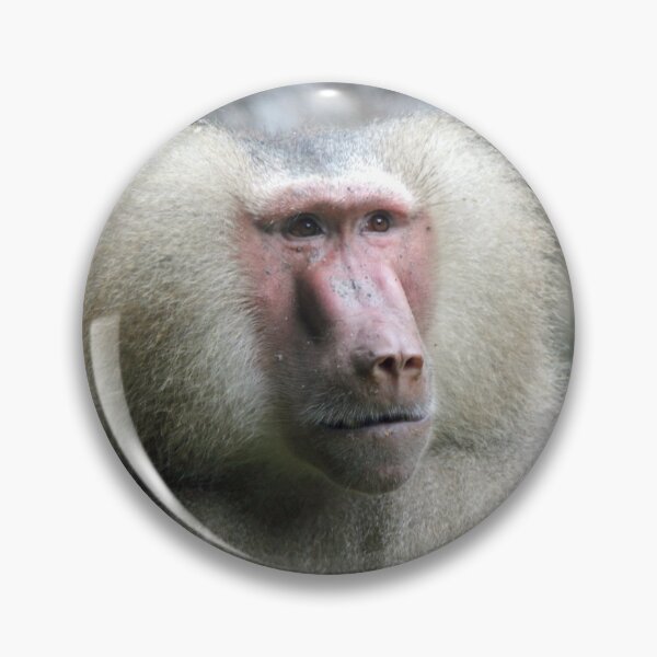 Item preview, Hamadryas Baboon designed and sold by LeanneAllen.