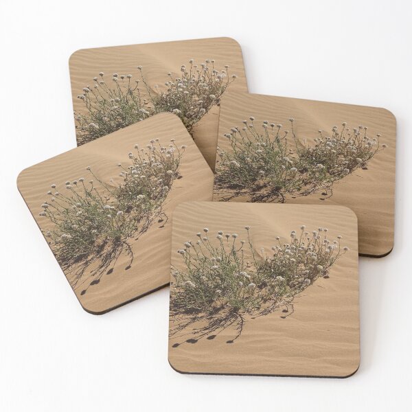 Item preview, Arid Flowers designed and sold by AussieT2.