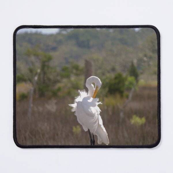 Item preview, White Egret on a Sunny Day designed and sold by bwheeler.