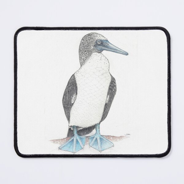 Item preview, barefooted blue footed booby designed and sold by JimsBirds.