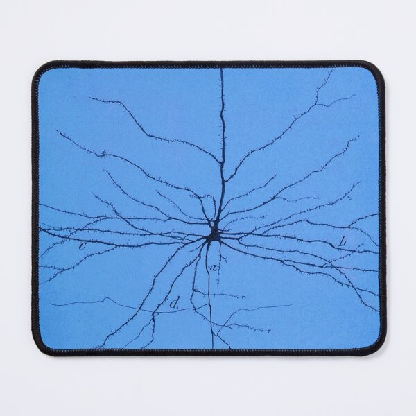 Item preview, Pyramidal Cell in Cerebral Cortex, Cajal designed and sold by ScienceSource.
