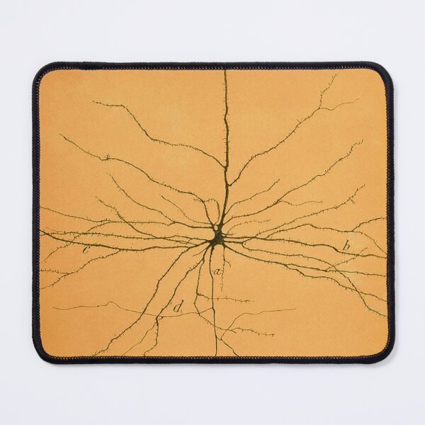 Item preview, Pyramidal Cell in Cerebral Cortex, Cajal designed and sold by ScienceSource.