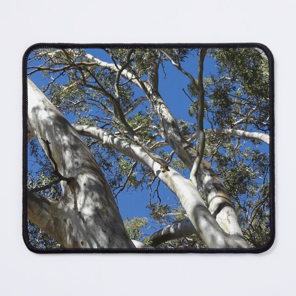 Item preview, Gum tree branches - natural designed and sold by AussieT2.