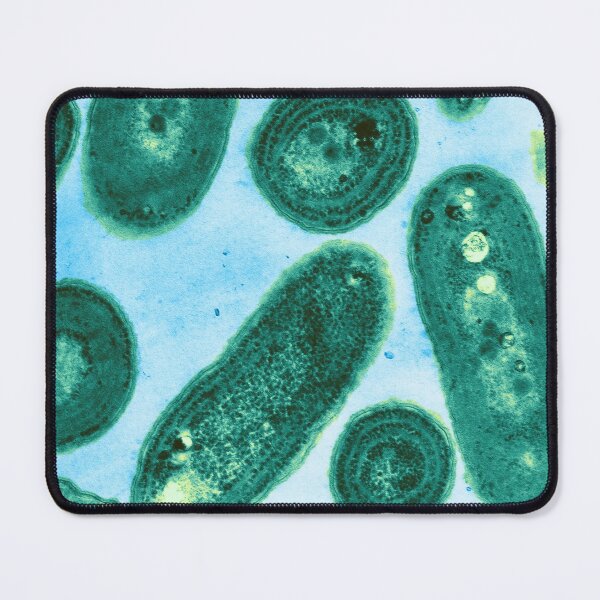 Item preview, Blue-Green Algae designed and sold by ScienceSource.