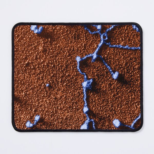Item preview, RNA attached to DNA (TEM) designed and sold by ScienceSource.