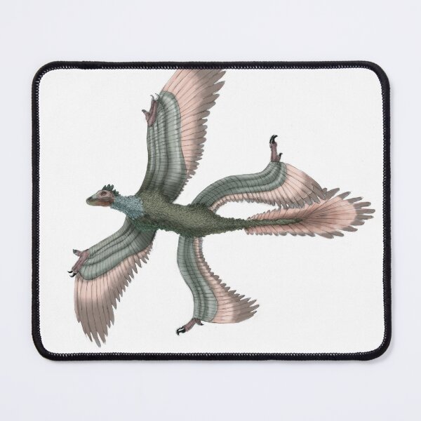 Item preview, Microraptor designed and sold by ScienceSource.