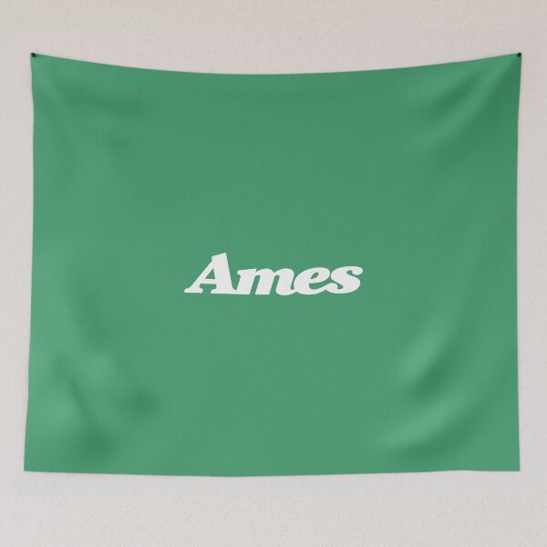 Item preview, Ames designed and sold by jordan5L.