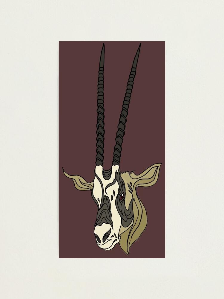 National Animal of Qatar: Arabian Oryx National Animal of Qatar: Arabian Oryx