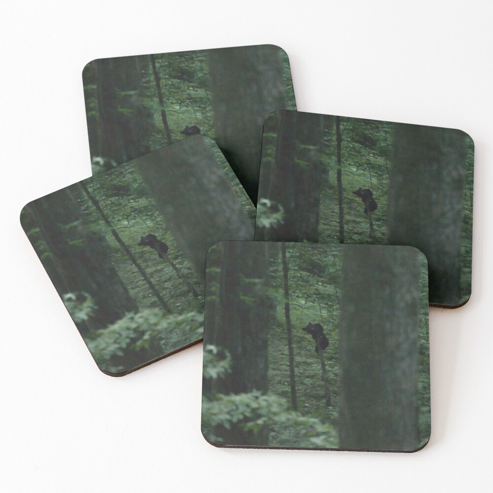 Item preview, Coasters (Set of 4) designed and sold by RScaptor.