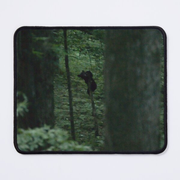 Item preview, Climbing Cub designed and sold by Ryan Stephens.