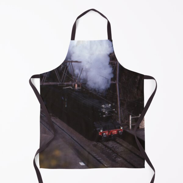 Item preview, Flying Scotsman & 3801, Bowenfels 19890625 designed and sold by muz2142.