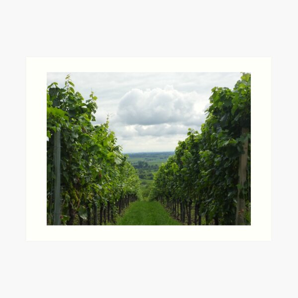 Vineyards at the german wineroute Kunstdruck