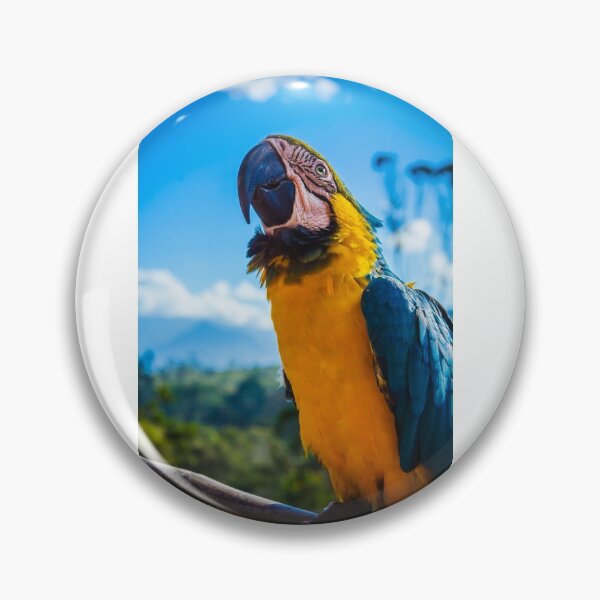Item preview, Arara-canindé designed and sold by brazilstuff.