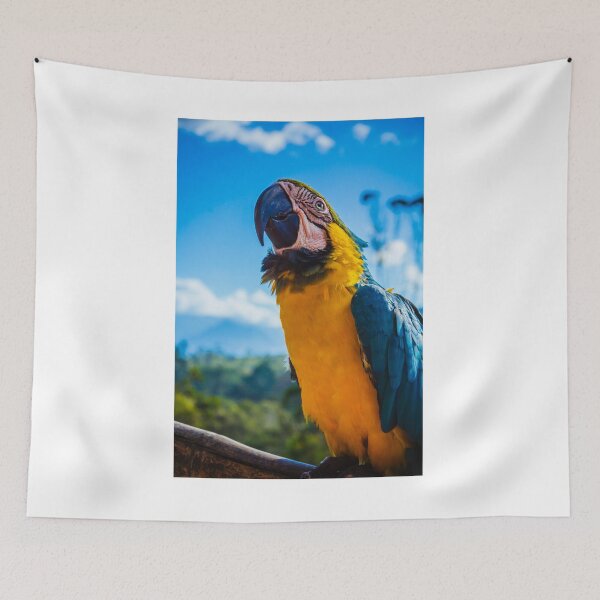 Item preview, Arara-canindé designed and sold by brazilstuff.