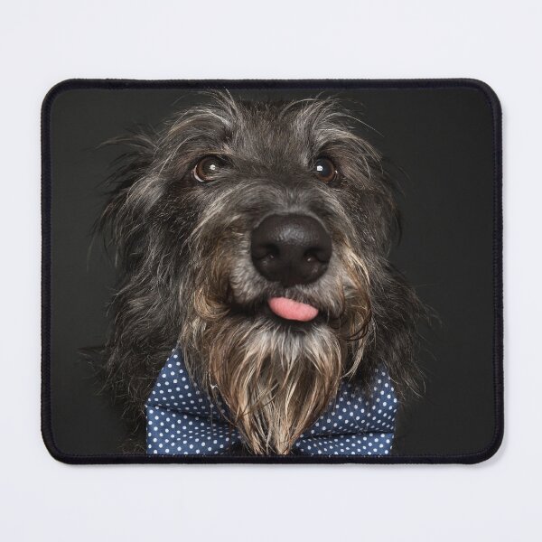 Item preview, Cute Scottish Deerhound designed and sold by houndpixnz.