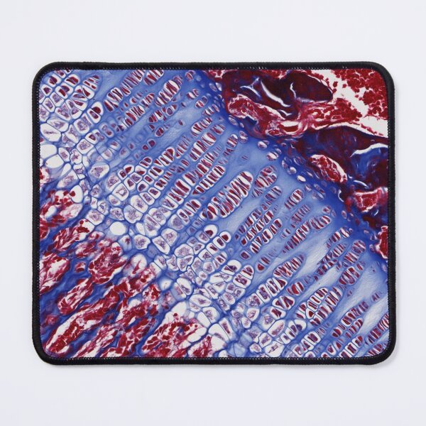 Item preview, Bone Growth Plate designed and sold by Love Histology.