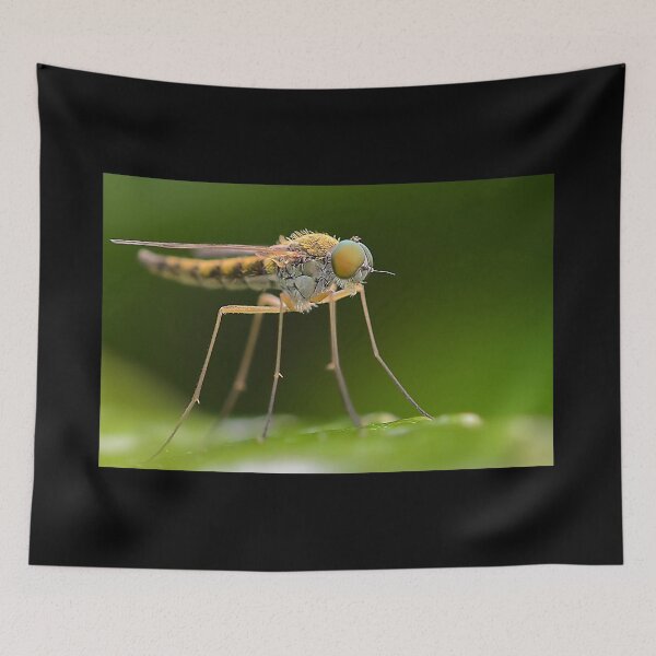 Item preview, Snipe fly close up designed and sold by relayer51.