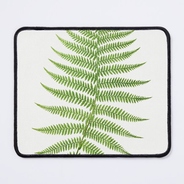 Item preview, Athyrium Filix–Femina (Lady Fern) Ferns: British and Exotic (1856-1860) by Edward Joseph Lowe designed and sold by florafaunaartco.