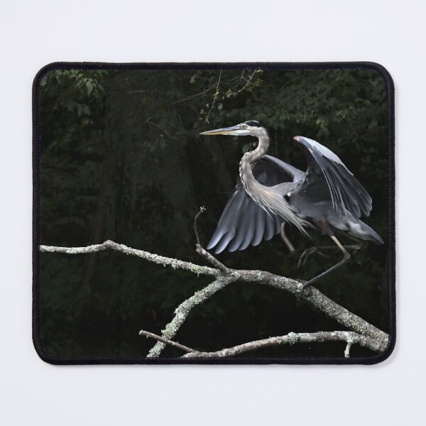 Item preview, Blue Heron Preflight designed and sold by Ryan Stephens.