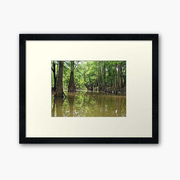 Item preview, Cypress Pond designed and sold by Ryan Stephens.