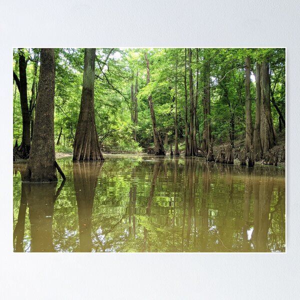 Item preview, Cypress Pond designed and sold by Ryan Stephens.