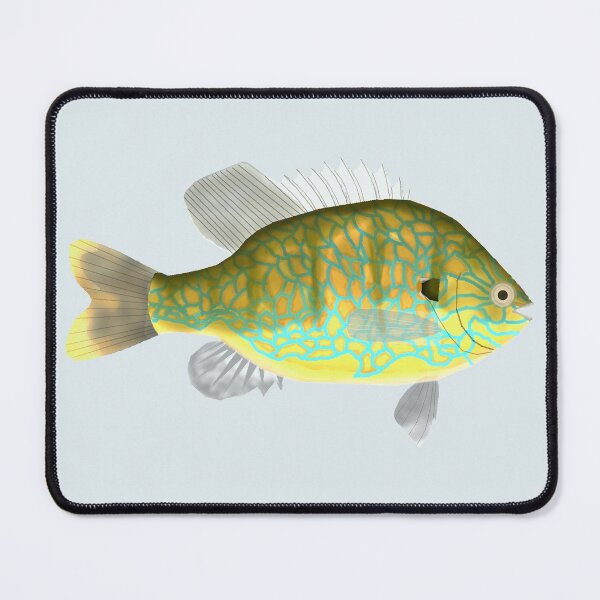 Item preview, Pumpkinseed Sunfish designed and sold by fishfolkart.