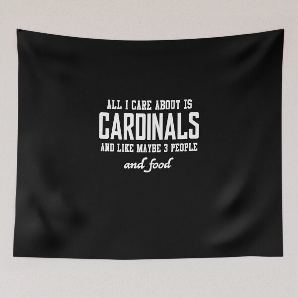 Item preview, All I care about is Cardinals and like maybe 3 people and food designed and sold by loves789.