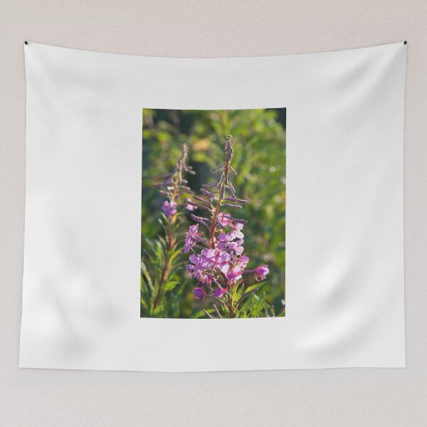 Item preview, Rosebay willowherb, Standish, Lancashire UK designed and sold by johnmorris.