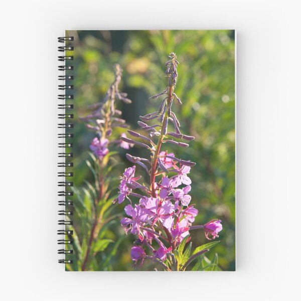 Item preview, Rosebay willowherb, Standish, Lancashire UK designed and sold by johnmorris.