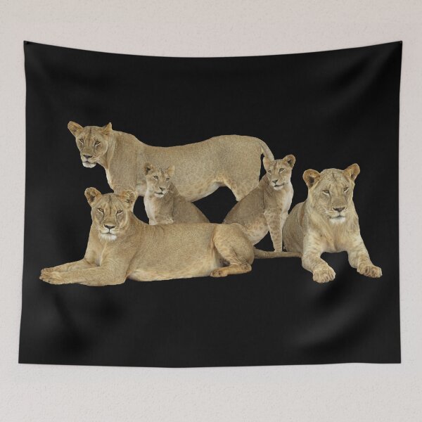 Item preview, Lion family - lions - big cat - cat - safari in Kenya / Africa designed and sold by TShirtsundMehr.