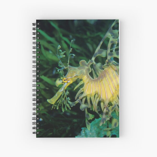 Leafy Seadragon Spiral Notebook
