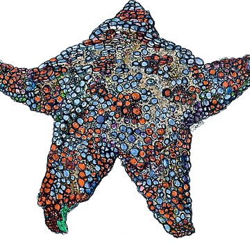 Artwork thumbnail, Astro the Sea Star by Wildcard-Sue