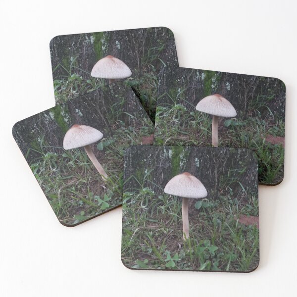 Item preview, Fongus designed and sold by BastianFlowers.