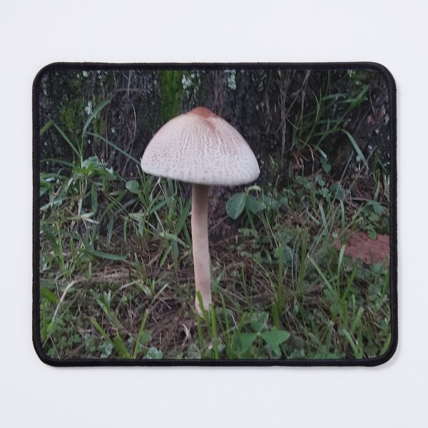 Item preview, Fongus designed and sold by BastianFlowers.