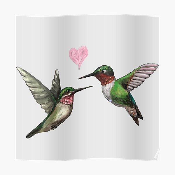 Póster «Pareja de colibrí» de VoodooInk | Redbubble Póster «Pareja de colibrí» de VoodooInk | Redbubble