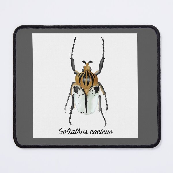 Item preview, Goliath Beetle Specimen designed and sold by JillyBeanDesign.