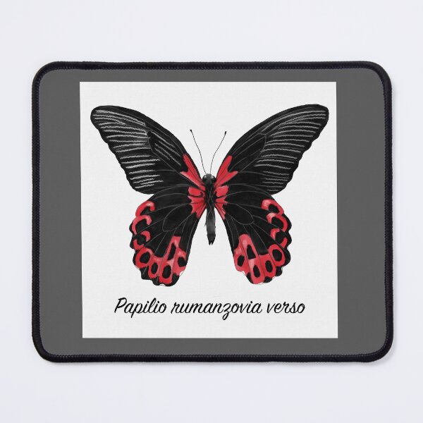 Item preview, Scarlet Mormon Butterfly Specimen designed and sold by JillyBeanDesign.