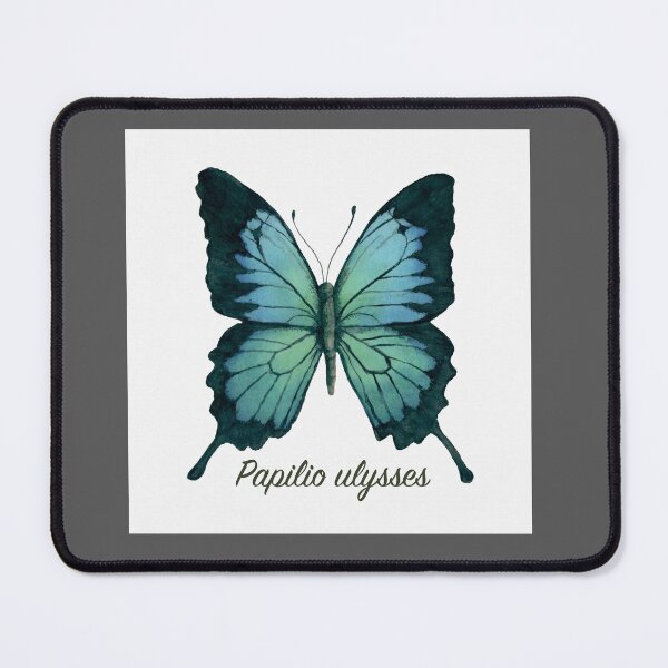 Item preview, Tropical Blue Ulysses Butterfly Specimen designed and sold by JillyBeanDesign.