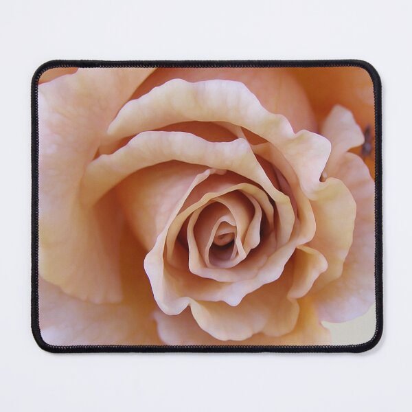 Item preview, Dusty Rose designed and sold by JillyBeanDesign.