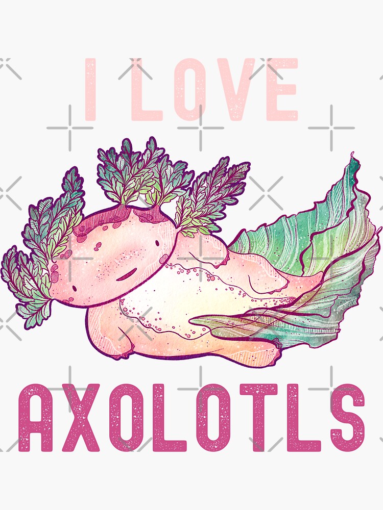 I Love Axolotls Cute Funny Axolotl Sticker For Sale By Fabvity Redbubble 