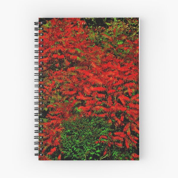Item preview, Beautiful Red Sumac designed and sold by Judith Hayes.