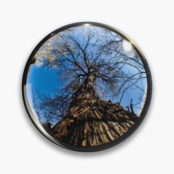 Item preview, Dead Tree In A Fisheye Lens designed and sold by MissJades.